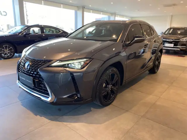 Carro Lexus UX 250H 2022 2.0 VVT-I HYBRID LUXURY CVT