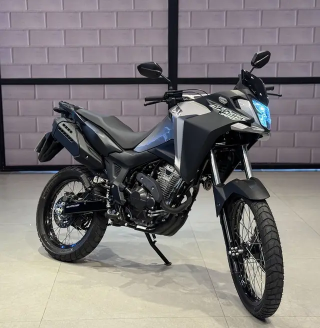 Moto Honda XRE Sahara 300 2024 ABS