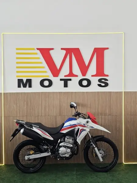 Moto Honda XRE 300 2018 Rally (Flex)