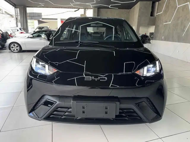 Carro BYD Dolphin Mini 2026 EV