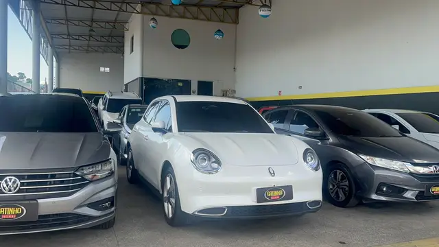 Carro GWM Ora 03 2024 Skin