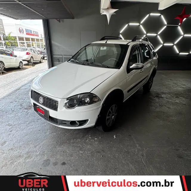 Carro Fiat Palio Weekend 2009 Trekking 1.4 8V (Flex)
