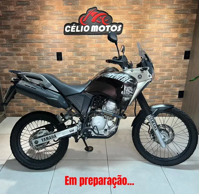 Moto Yamaha XTZ 250 Ténéré 2017 Blueflex
