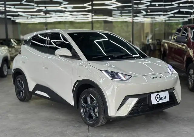 Carro BYD Dolphin Mini 2025 EV