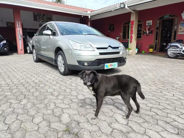 Carro Citroën C4 Pallas 2011 GLX 2.0 16V (flex) (aut)