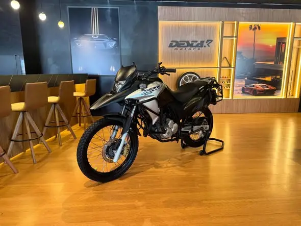 Moto Honda XRE 300 2018 (ABS) (Flex)