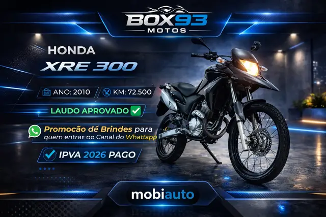Moto Honda XRE 300 2010 XRE 300/ 300 ABS/ FLEX