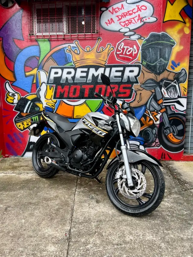 Moto Yamaha YS 250 Fazer 2010 250cc