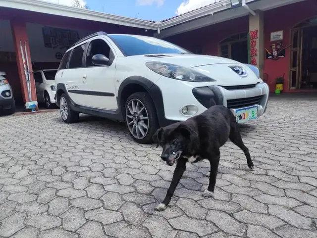 Carro Peugeot 207 SW Escapade 2013 1.6 16V (flex)