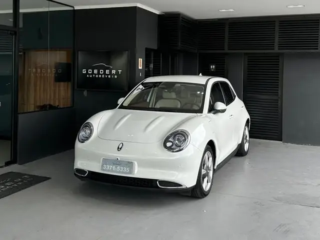 Carro GWM Ora 03 2024 Skin (Elétrico)