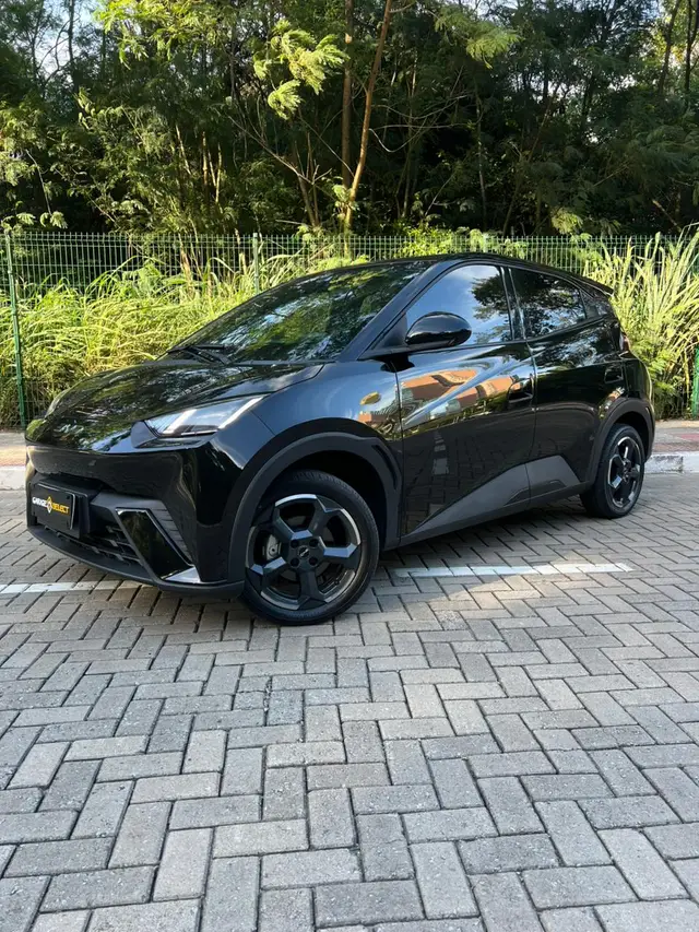 Carro BYD Dolphin Mini 2025 EV