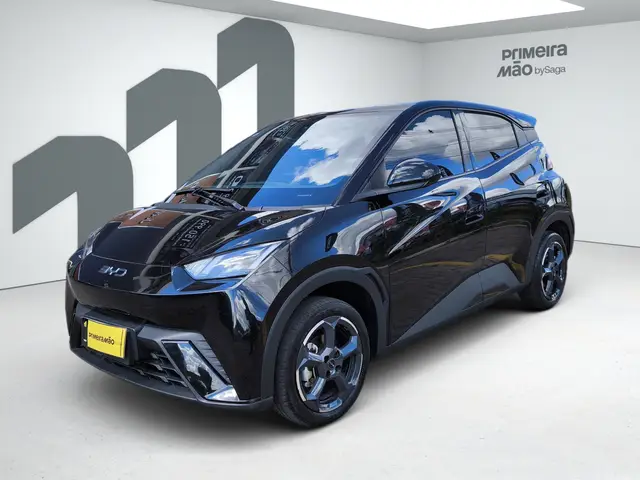 Carro BYD Dolphin Mini 2025 EV