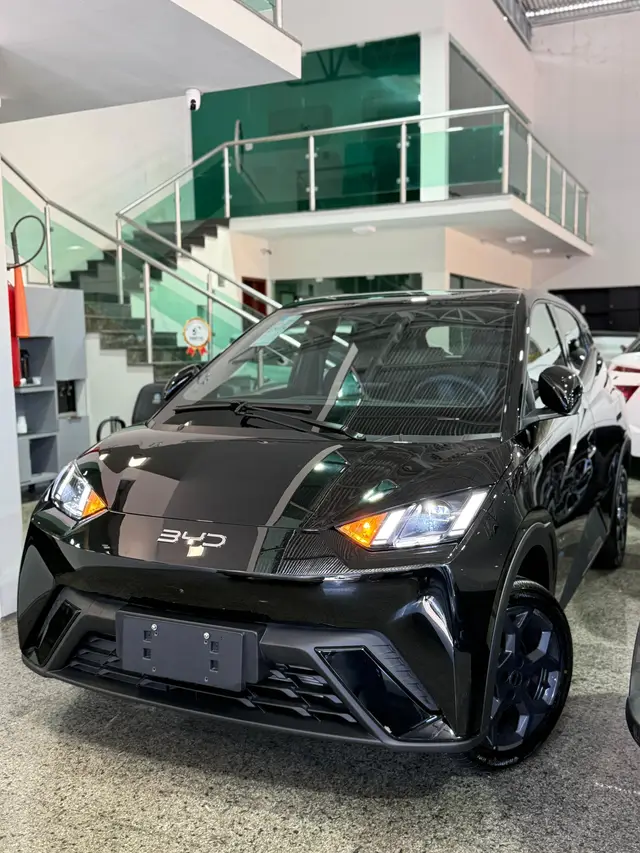 Carro BYD Dolphin Mini 2027 GS EV