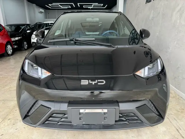 Carro BYD Dolphin Mini 2027 GS EV
