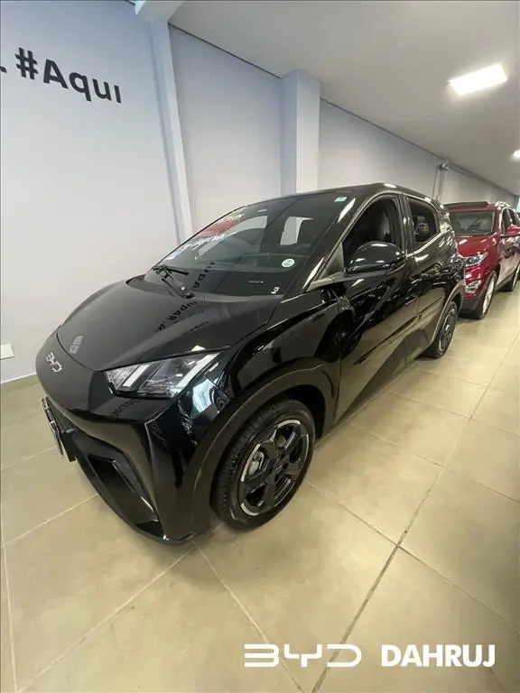 Carro BYD Dolphin Mini 2025 Elétrico