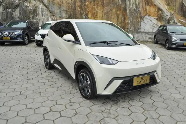 Carro BYD Dolphin Mini 2025 EV