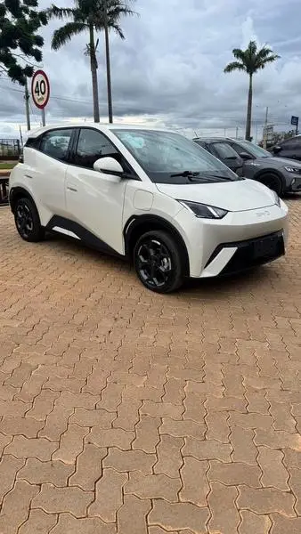 Carro BYD Dolphin 2026 EV