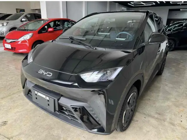 Carro BYD Dolphin Mini 2024 EV