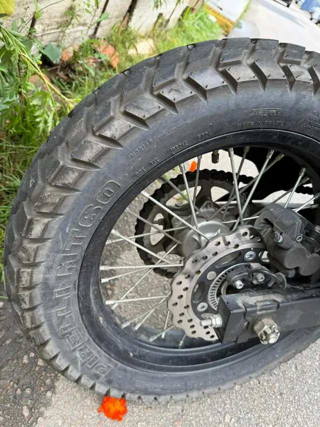 Moto Kawasaki Versys 2025 -X 300