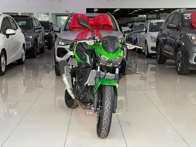 Moto Kawasaki Z 2025 500