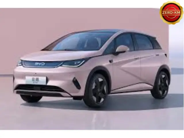 Carro BYD Dolphin 2027 GS