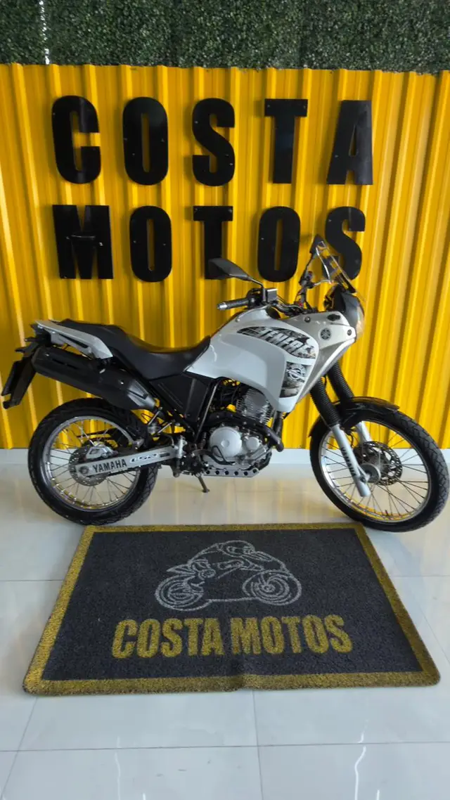 Moto Yamaha XTZ 250 Ténéré 2016 Blueflex