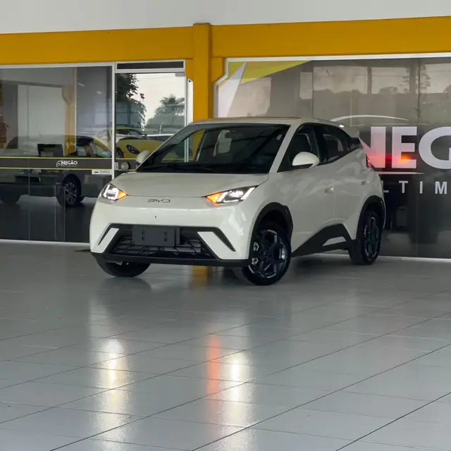 Carro BYD Dolphin Mini 2027 GS EV