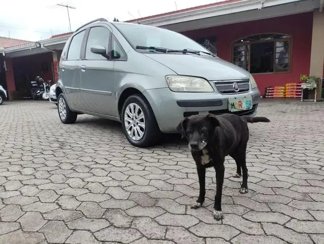 Carro Fiat Idea 2009 Adventure Locker 1.8 (Flex)