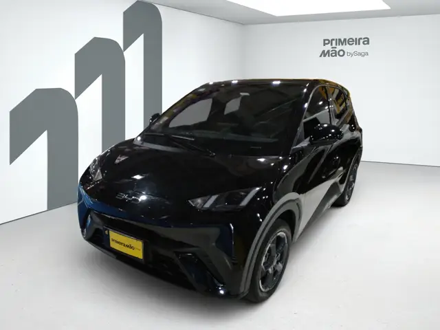 Carro BYD Dolphin Mini 2025 EV