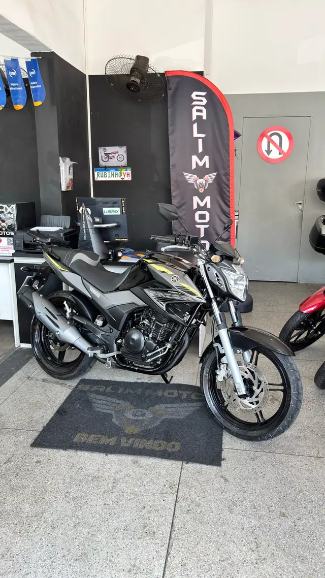 Moto Yamaha YS 250 Fazer 2016 Blueflex