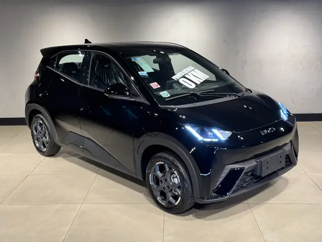 Carro BYD Dolphin Mini 2027 GS EV