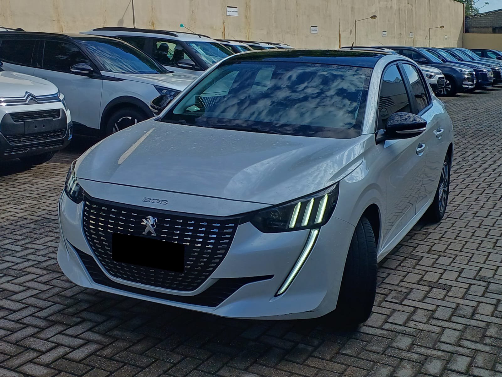 peugeot griffe 1.6 (flex) (aut)