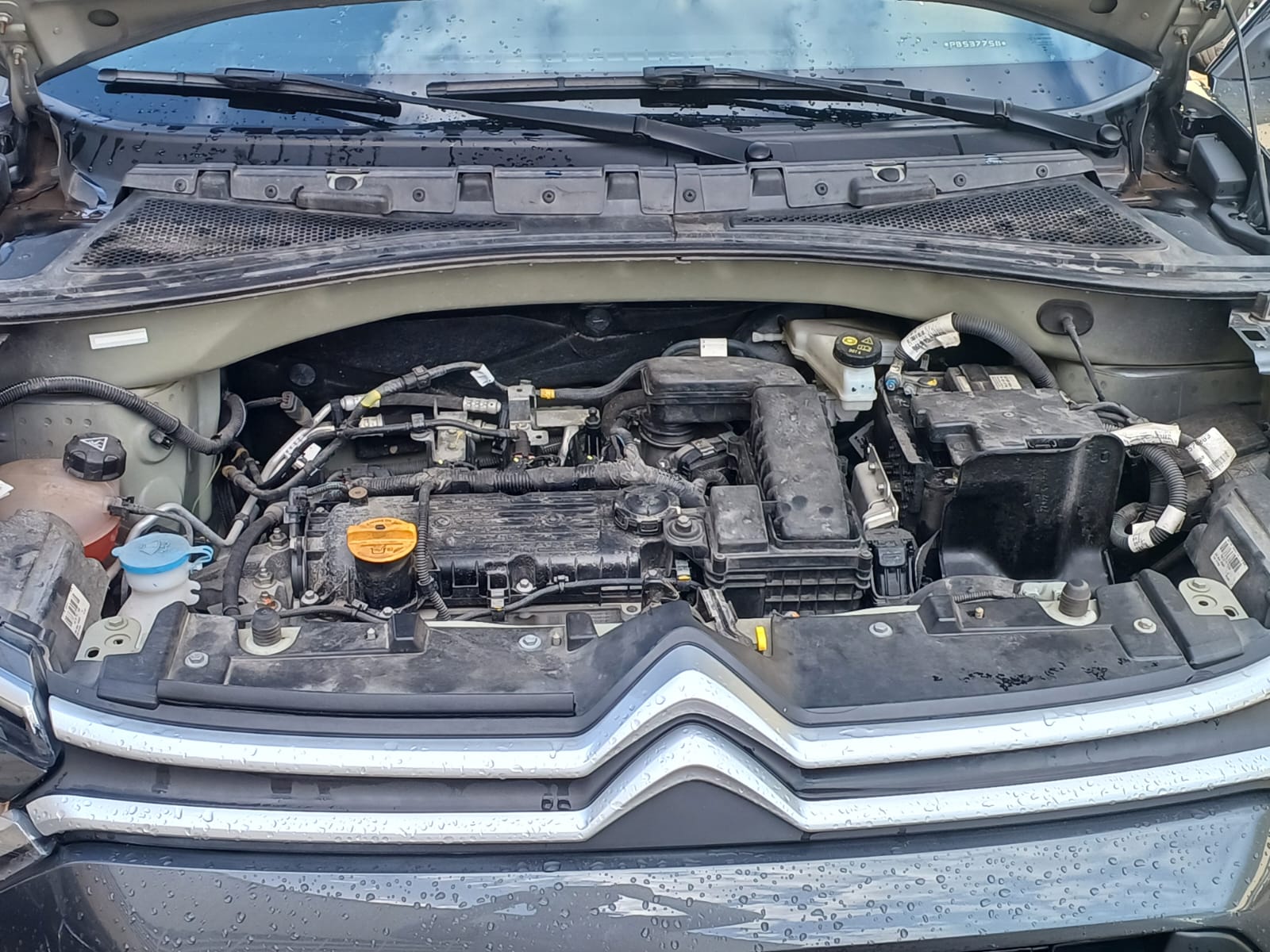 citroën c3 live pack 1.0 (flex)