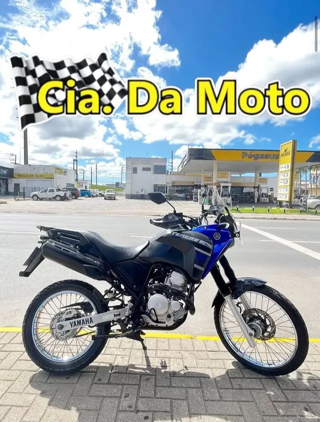 Moto Yamaha XTZ 250 Ténéré 2019 Blueflex