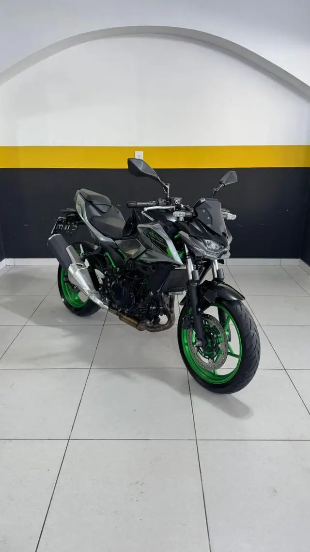 Moto Kawasaki Z 2025 500 SE