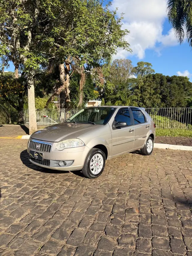Carro Fiat Palio 2010 ELX 1.0 Fire/30 Anos F. Flex 8V 4p