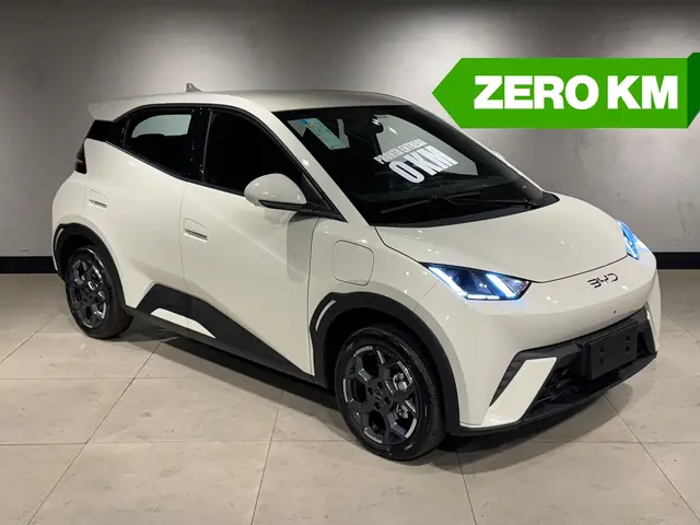 Carro BYD Dolphin Mini 2027 GS EV