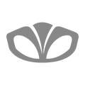 Logo Daewoo
