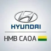Hyundai HMB CAOA Ricardo Jaffet