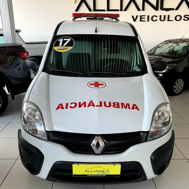 Carro Renault Kangoo Express 2017 1.6 16V Com Porta Lateral (Flex)