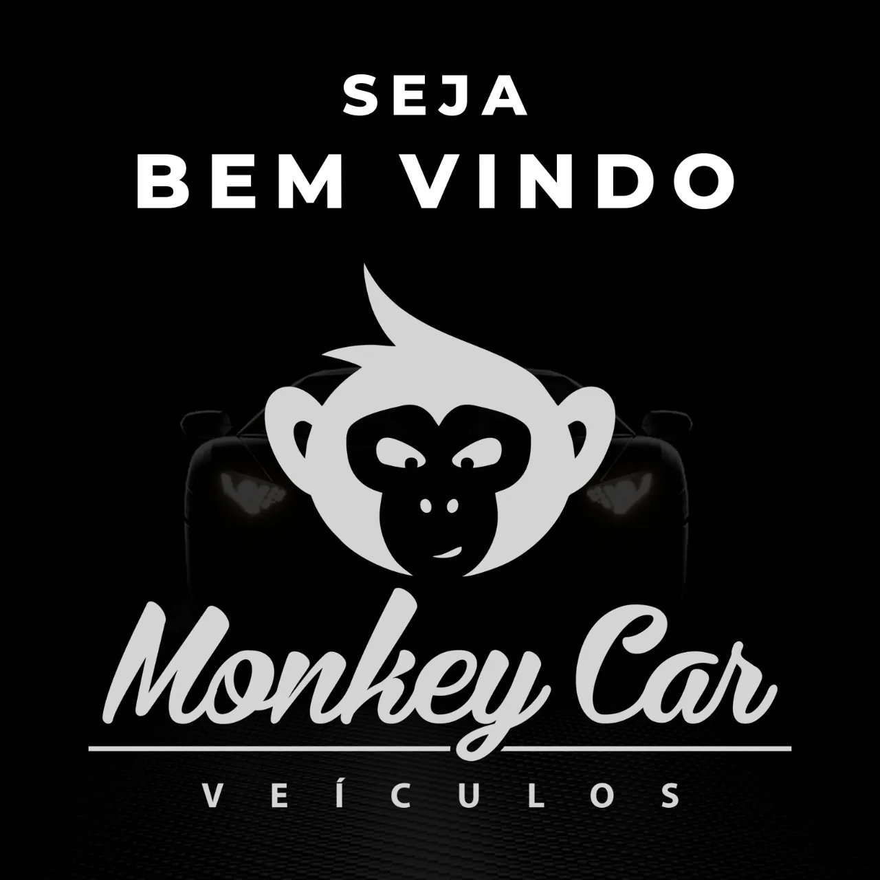 MONKEY CAR