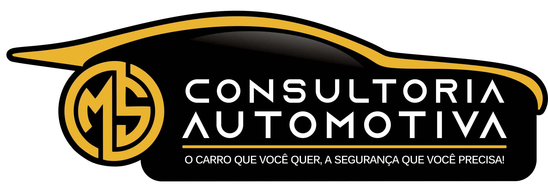 MS CONSULTORIA AUTOMOTIVA